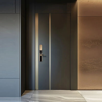 Apartment Security Door manufacturer from China